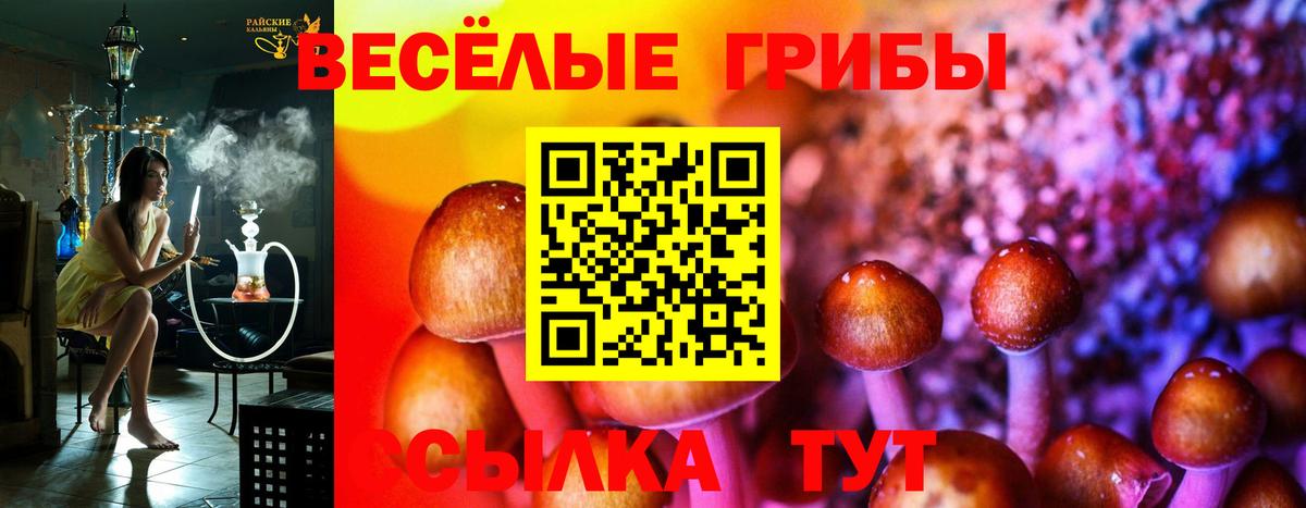 Псилоцибиновые грибы мицелий Канск